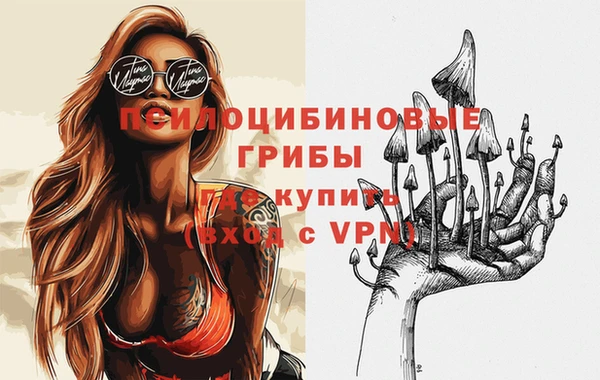молекула духа Баксан