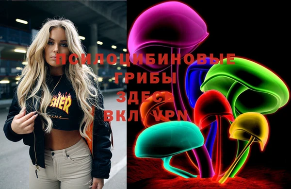 молекула духа Баксан
